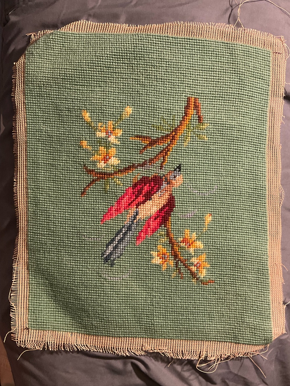 Hand-Embroidered Bird Accent Pillow Cover in Green and Pink
